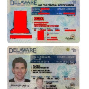 Delaware Driver License(New DE O21) – Delaware fake id
