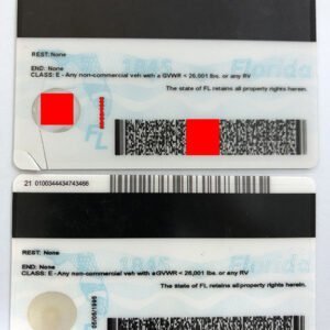 Florida(New FL) FAKE ID – Florida Fake Driver License