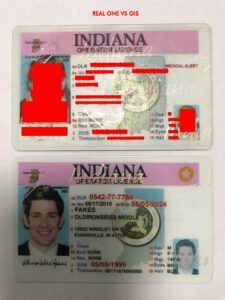 fake indian driving license template