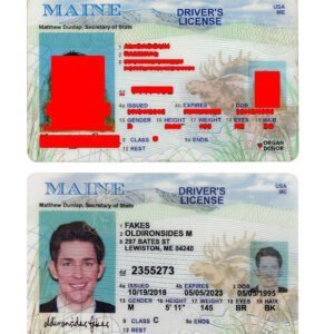 Maine Driver License(Old ME) – Maine Driver License(New ME) – Maine fake id