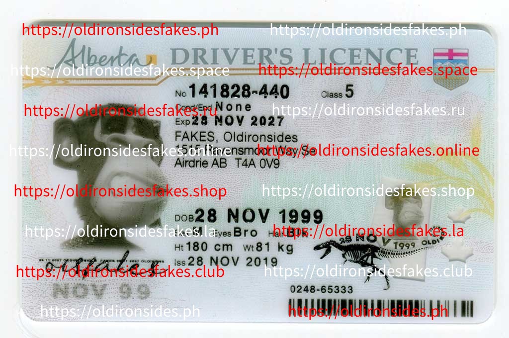 CAN Alberta(CAN AB 2022 PolyCard) - Authentic Fake IDs Online - Top ...